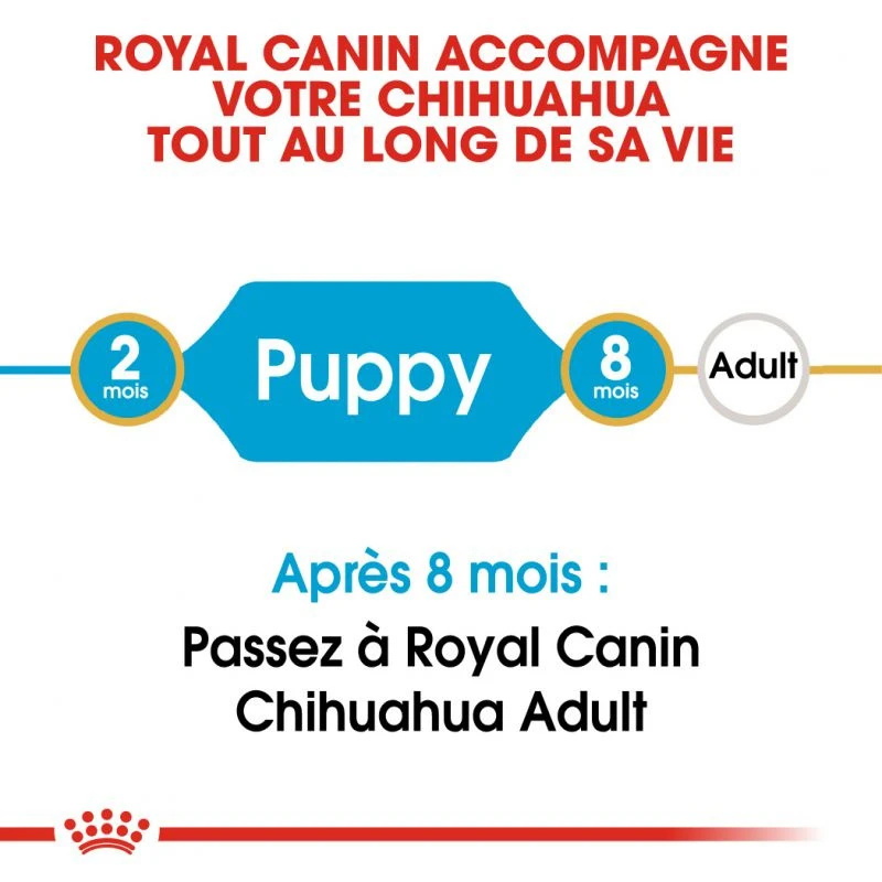 ROYAL CANIN Chihuahua Puppy 1,5kg – Image 5