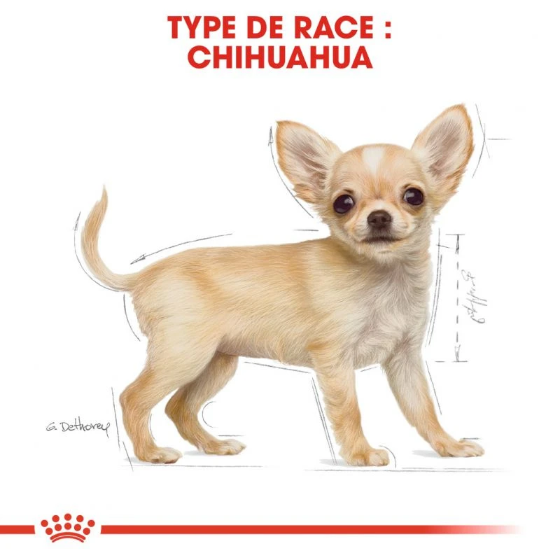 ROYAL CANIN Chihuahua Puppy 1,5kg – Image 6