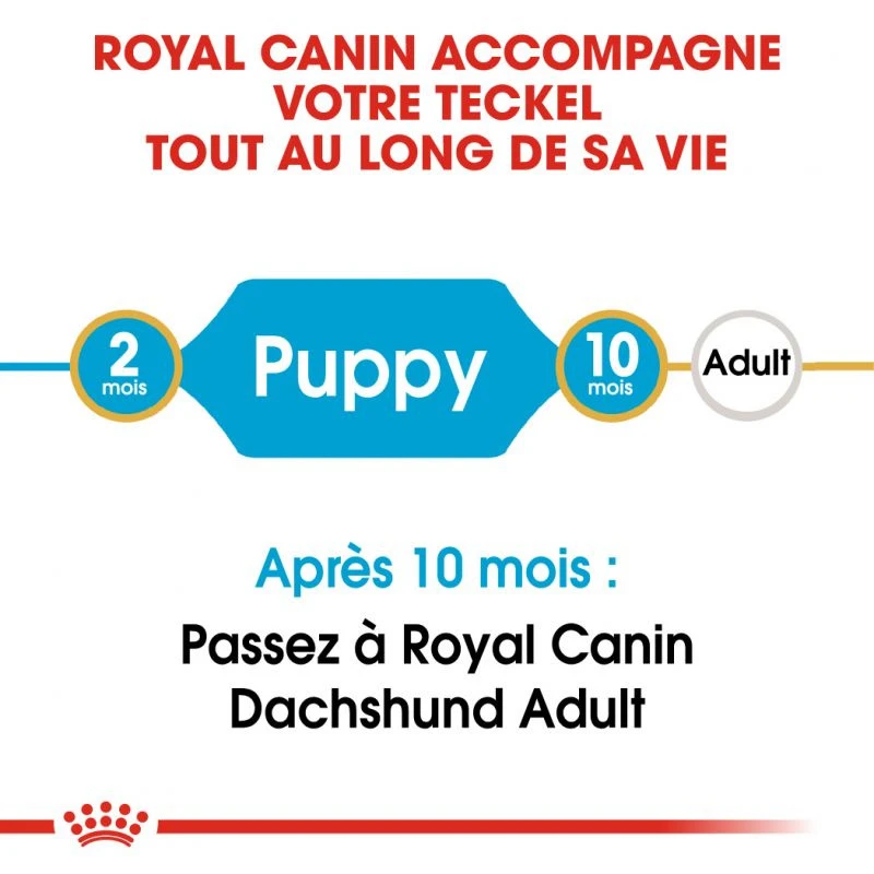 ROYAL CANIN Dachshund Puppy 1,5kg – Image 5