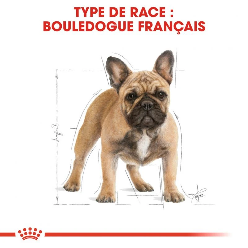 ROYAL CANIN French Bulldog Adult 1,5kg – Image 3