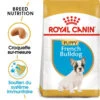 ROYAL CANIN French Bulldog Puppy 10kg