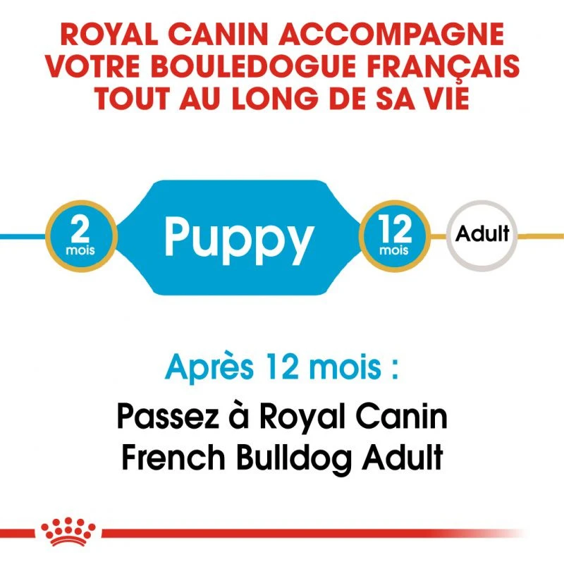 ROYAL CANIN French Bulldog Puppy 10kg – Image 3