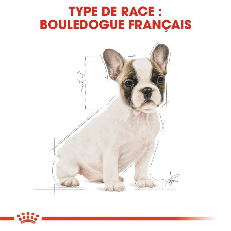 ROYAL CANIN French Bulldog Puppy 10kg – Image 6
