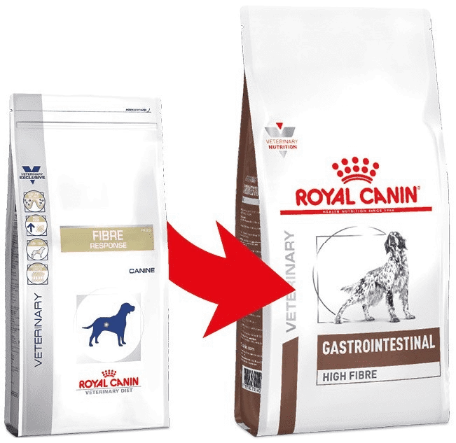 ROYAL CANIN Gastrointestinal High Fibre 14kg + Surprise Pour Votre Chien GRATUITES ! – Image 4
