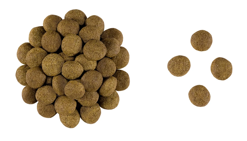 ROYAL CANIN Gastrointestinal High Fibre 2kg – Image 3