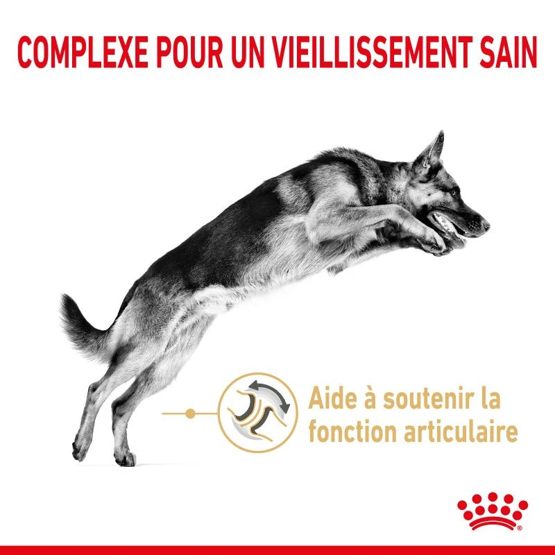 ROYAL CANIN German Shepherd Adult 5+ 12kg – Image 3