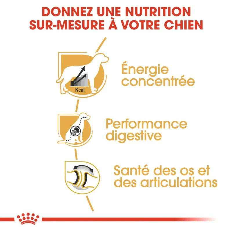 ROYAL CANIN Great Dane Adult 12kg – Image 5