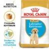 ROYAL CANIN Labrador Retriever Puppy 12kg