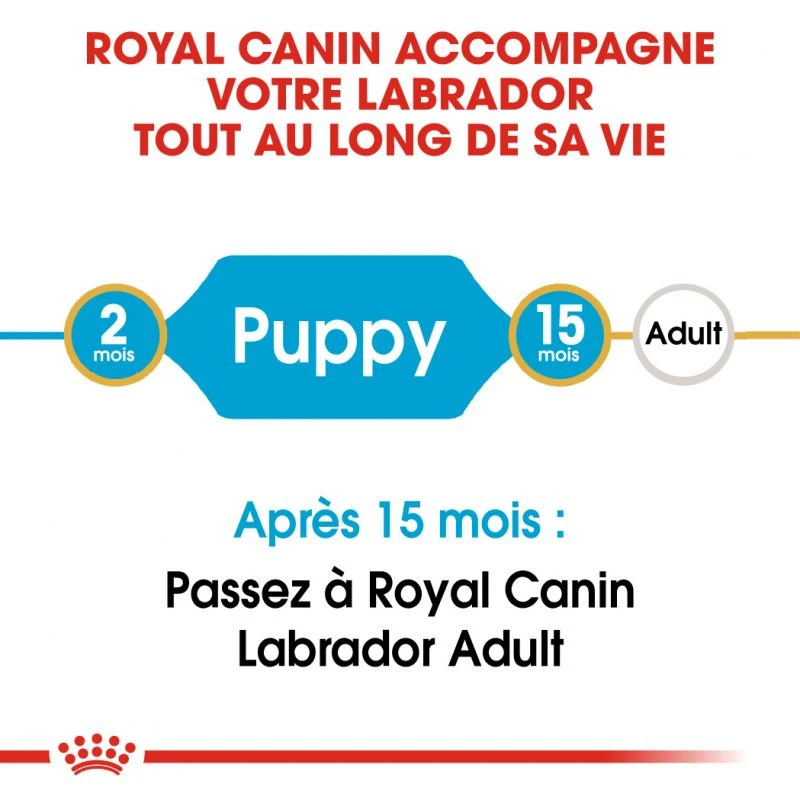 ROYAL CANIN Labrador Retriever Puppy 3kg X2 – Image 4