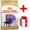 ROYAL CANIN Labrador Retriever Sterilised 12kg + Surprise Pour Votre Chien GRATUITES !