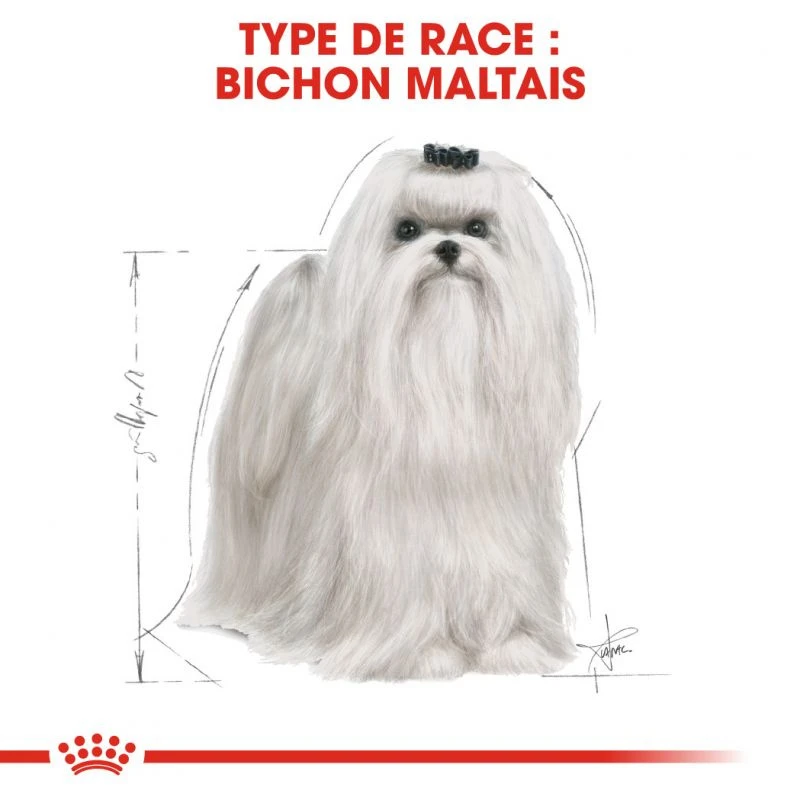 ROYAL CANIN Maltese Adult 1,5kg – Image 5