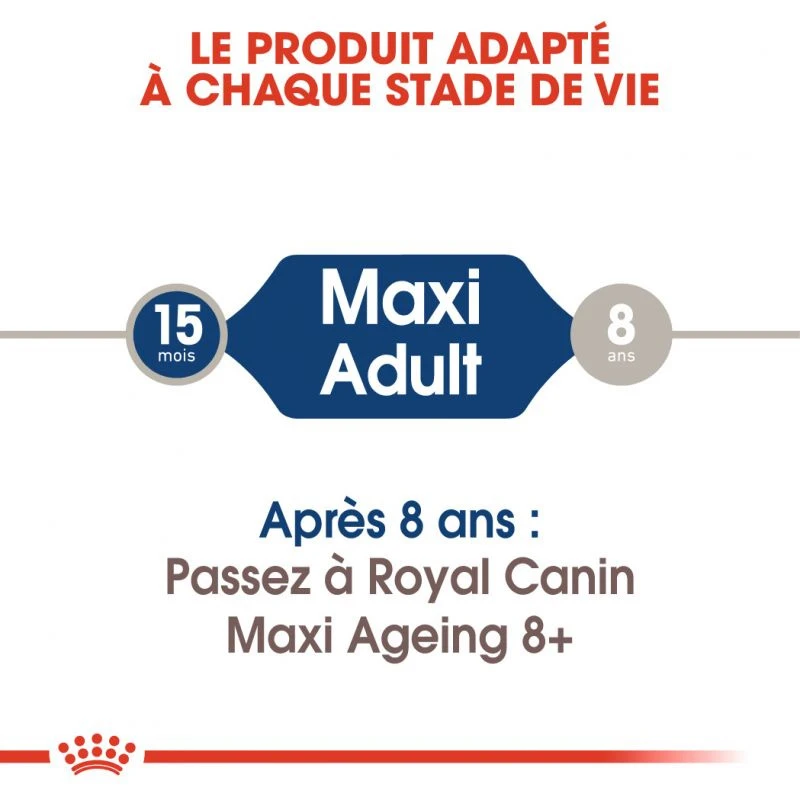 ROYAL CANIN Maxi Adult 10x140g – Image 3