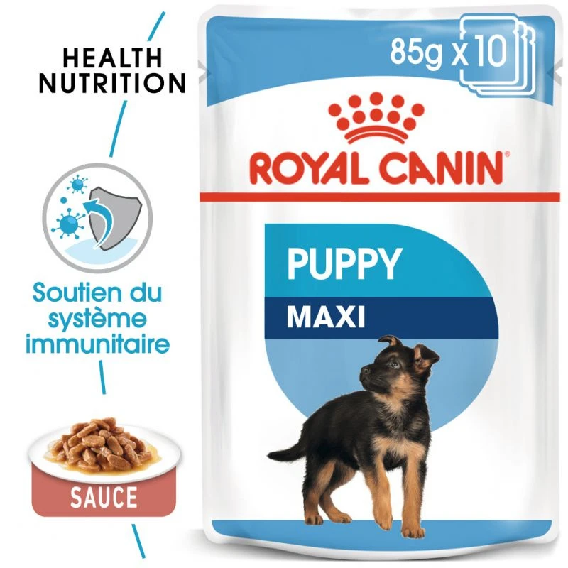 ROYAL CANIN Maxi Puppy 10x140g