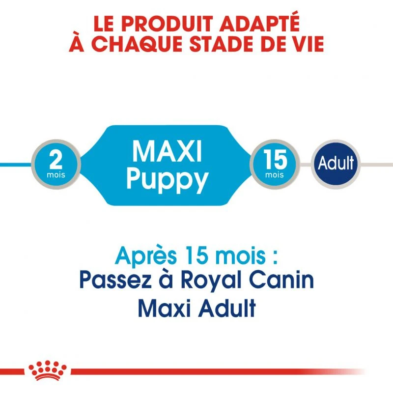 ROYAL CANIN Maxi Puppy 10x140g – Image 4
