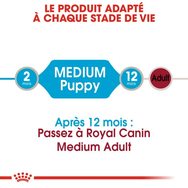 ROYAL CANIN Medium Puppy 10x140g – Image 4