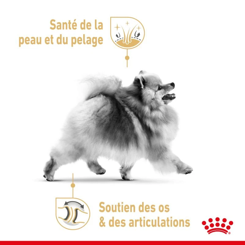 ROYAL CANIN Pomeranian Adult 1,5kg X2 – Image 3