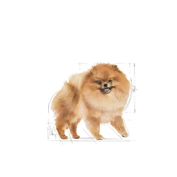 ROYAL CANIN Pomeranian Adult 500g – Image 3
