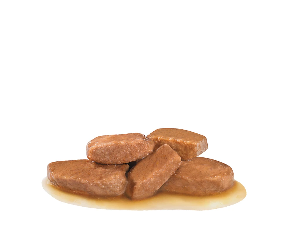 ROYAL CANIN Renal 12x100g – Image 2