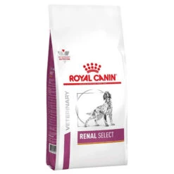 ROYAL CANIN Renal Select Canine RSE 10kg +surprise Pour Votre Chien GRATUITES !