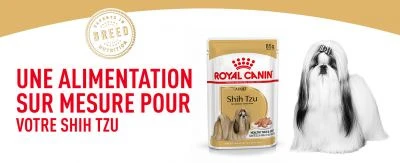 ROYAL CANIN Shih Tzu Adult 12x85g – Image 2