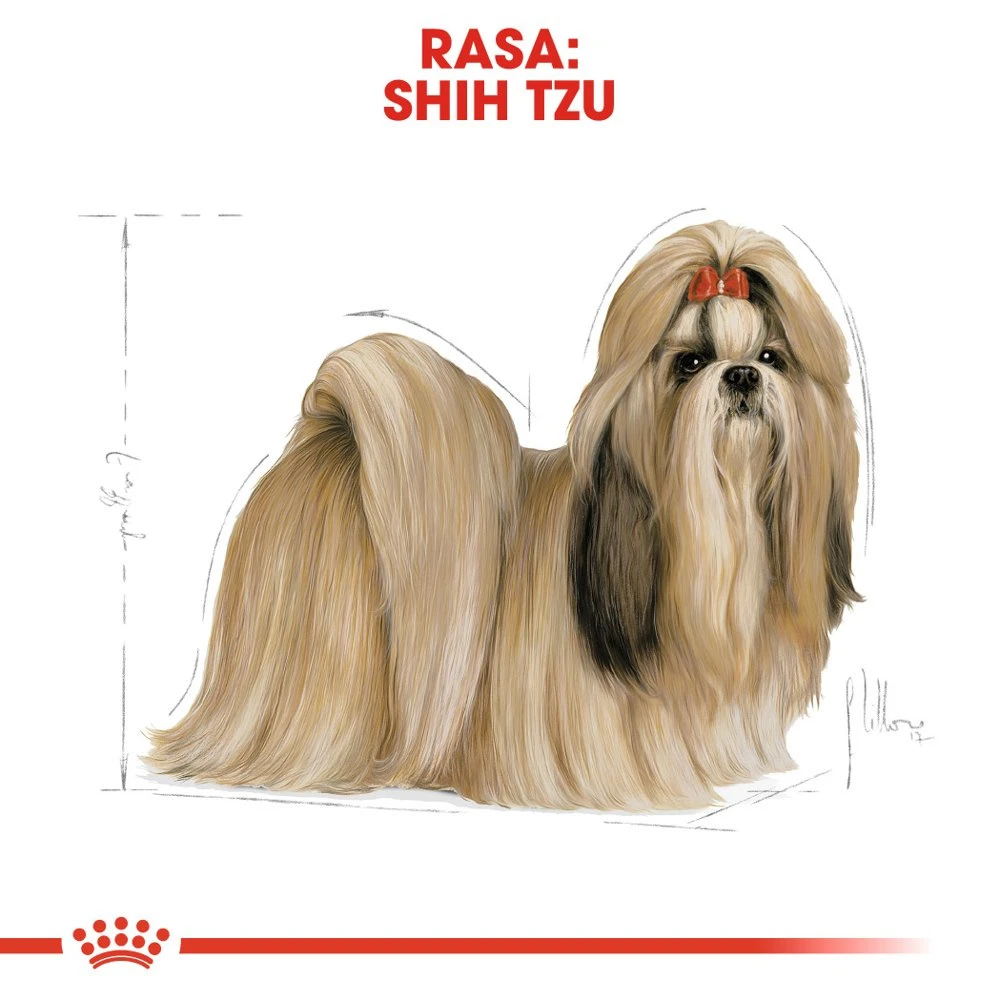 ROYAL CANIN Shih Tzu Adult 7,5kg + Surprise Pour Votre Chien GRATUITES ! – Image 6
