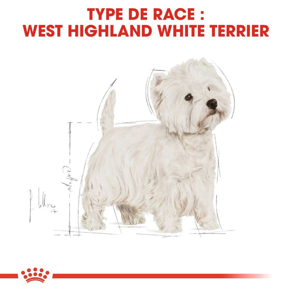 ROYAL CANIN West Highland White Terrier Adult 1,5kg – Image 4