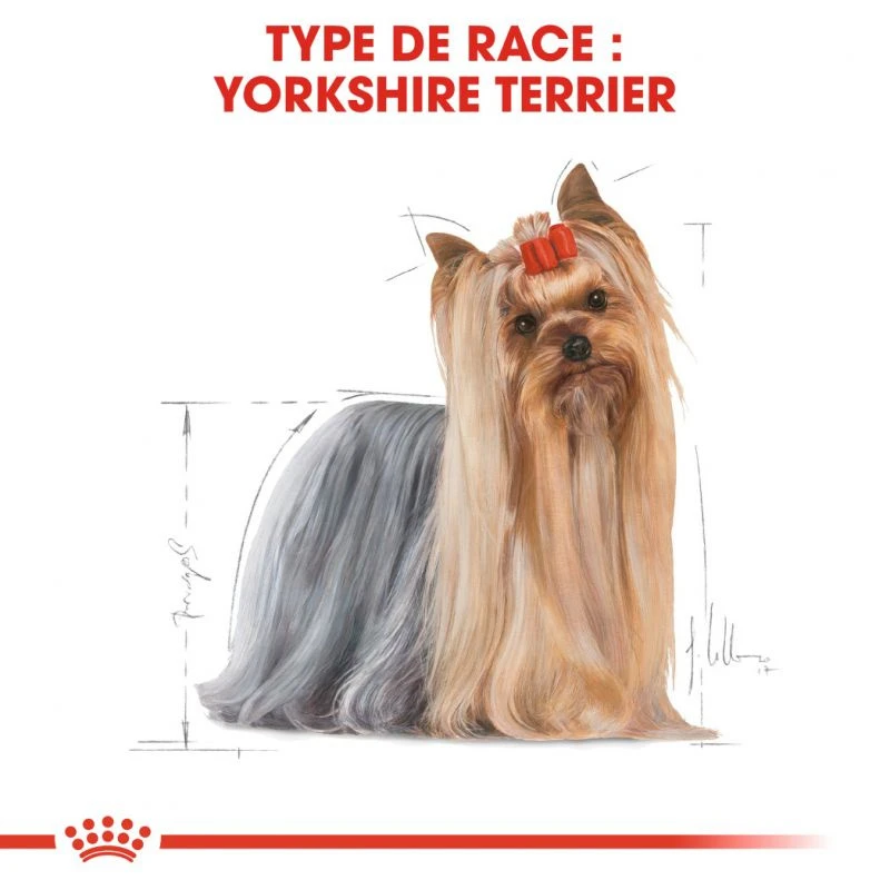 ROYAL CANIN Yorkshire Terrier Adult 1,5kg – Image 3