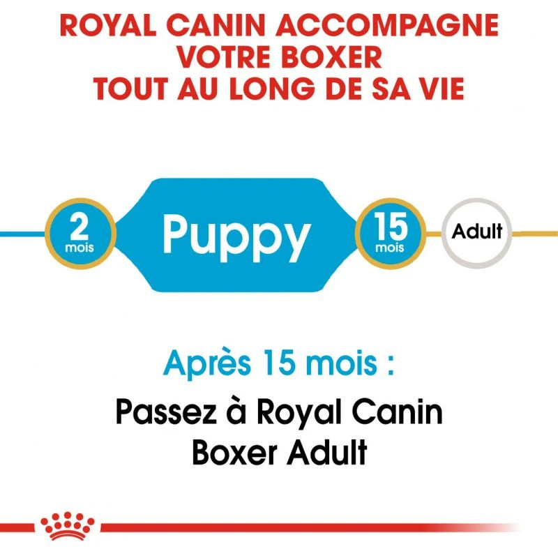 Royal Canin Boxer Puppy 12kg – Image 4