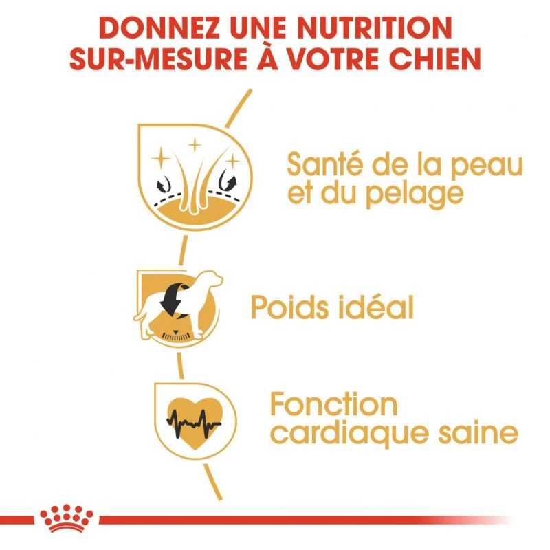 Royal Canin Cocker Spaniel Adult 12kg – Image 4