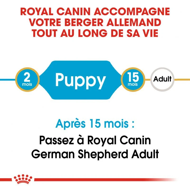Royal Canin German Shepherd Puppy 12kg – Image 2