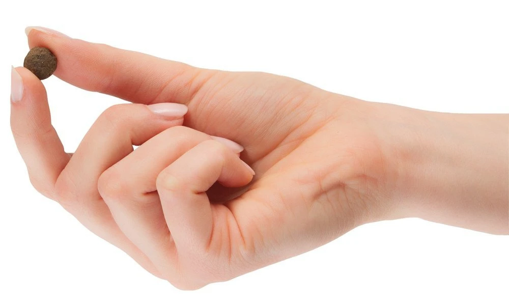 TOMOJO CROQUETTES CHIEN ADULTE 2kg – Image 4