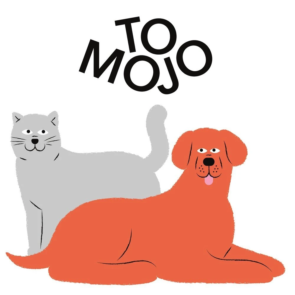 TOMOJO CROQUETTES CHIEN ADULTE 2kg – Image 5