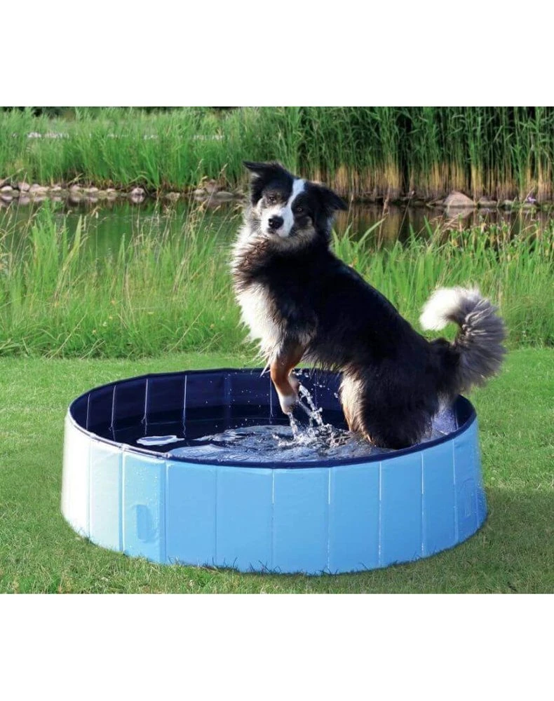 Trixie Piscine Pour Chien 120x30cm