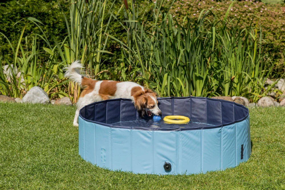 Trixie Piscine Pour Chien 120x30cm – Image 3