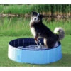 Trixie Piscine Pour Chien 80x20cm