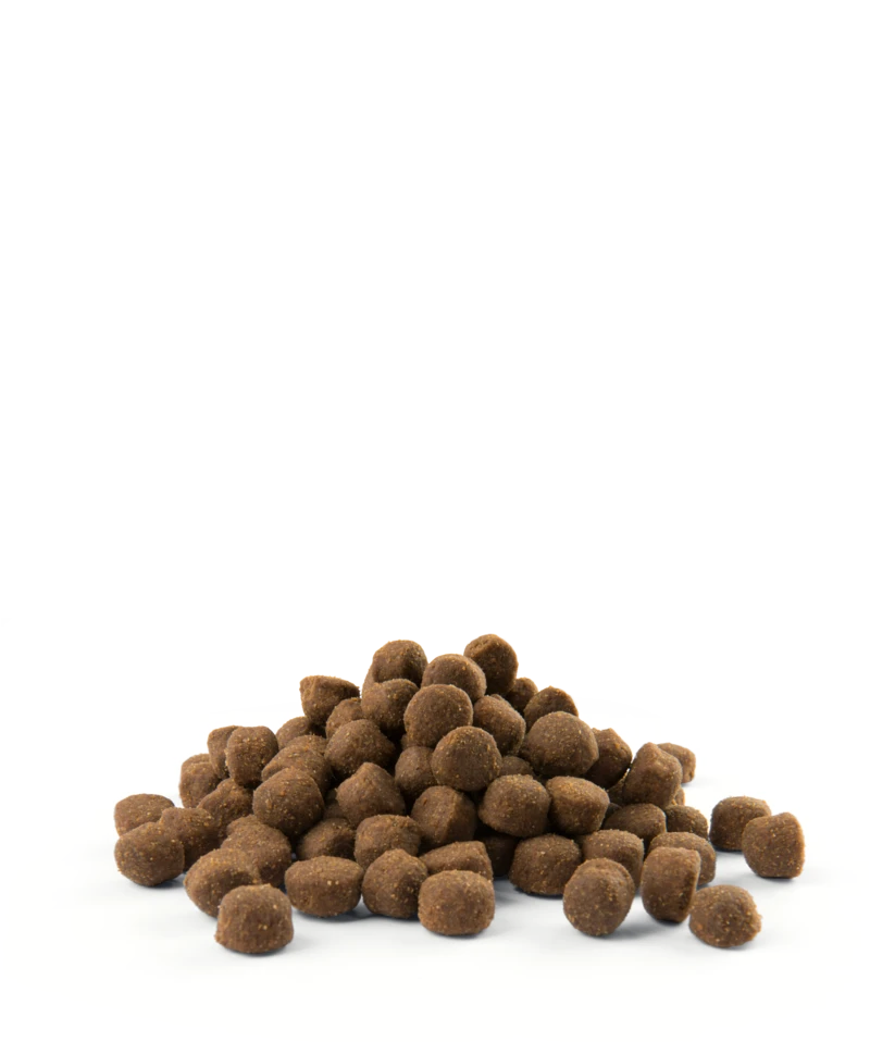 Versele-Laga Opti Life Adult Active Au Poulet 12,5 Kg – Image 2