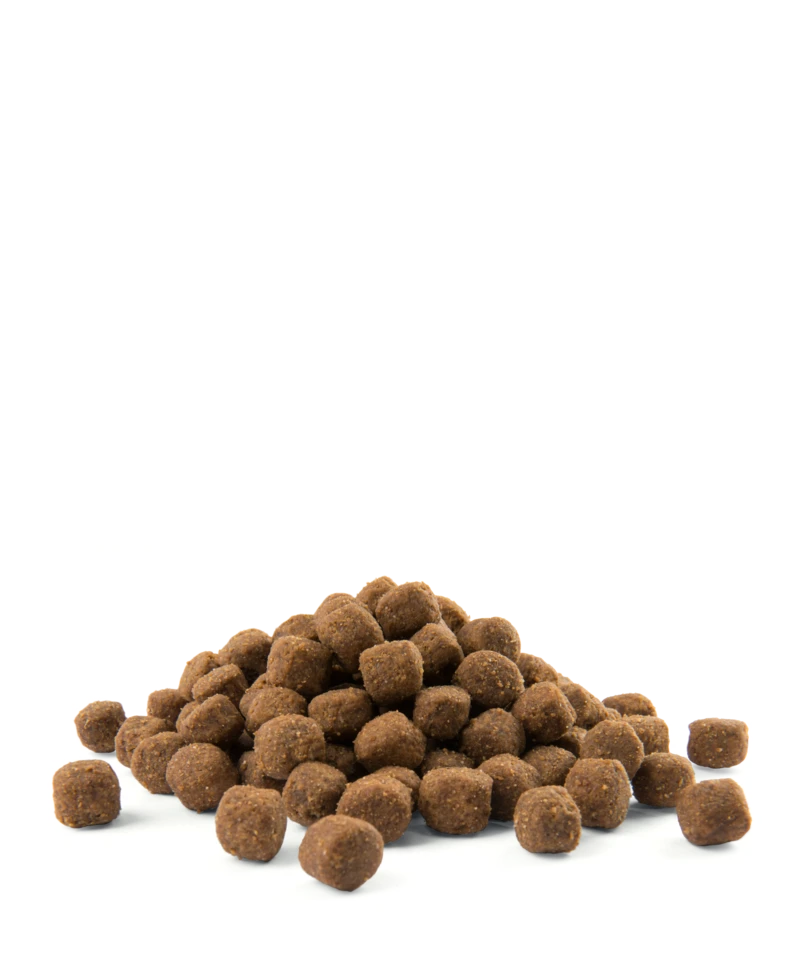 Versele-Laga Opti Life Adult Medium Au Poulet Et Au Riz 12.5kg – Image 3