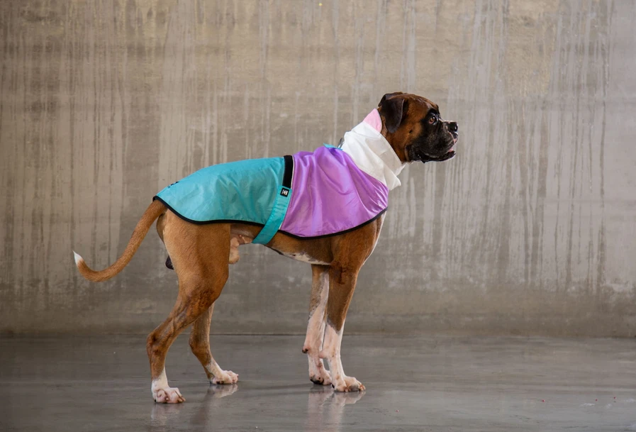 ZEE DOG Bel-Air Imperméable Pour Votre Chien M – Image 2
